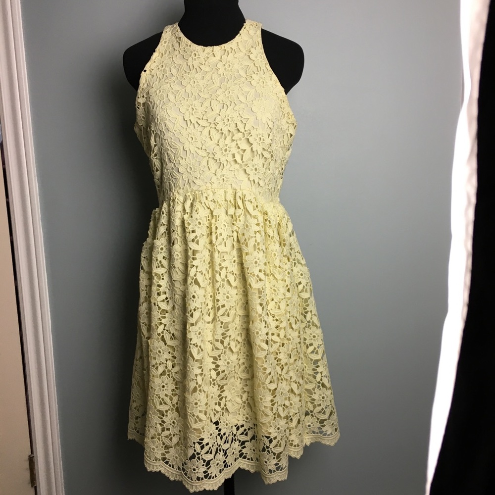 Zara Basic Buttery Yellow Crocheted Floral Lace Layered Dress